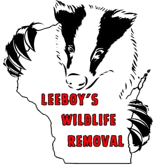 LeeBoy's Wildlife Removal Logo